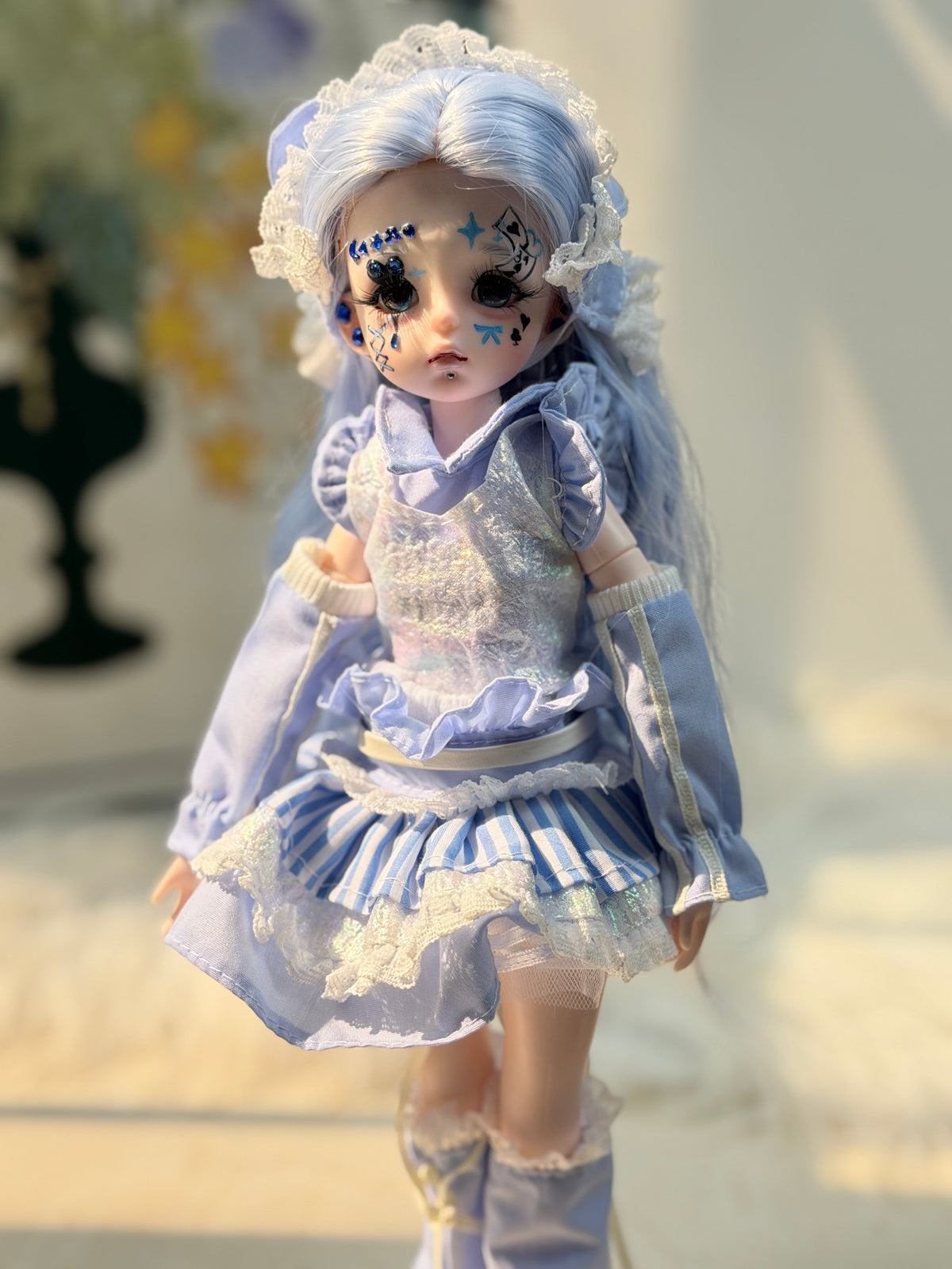 Aster-  #178